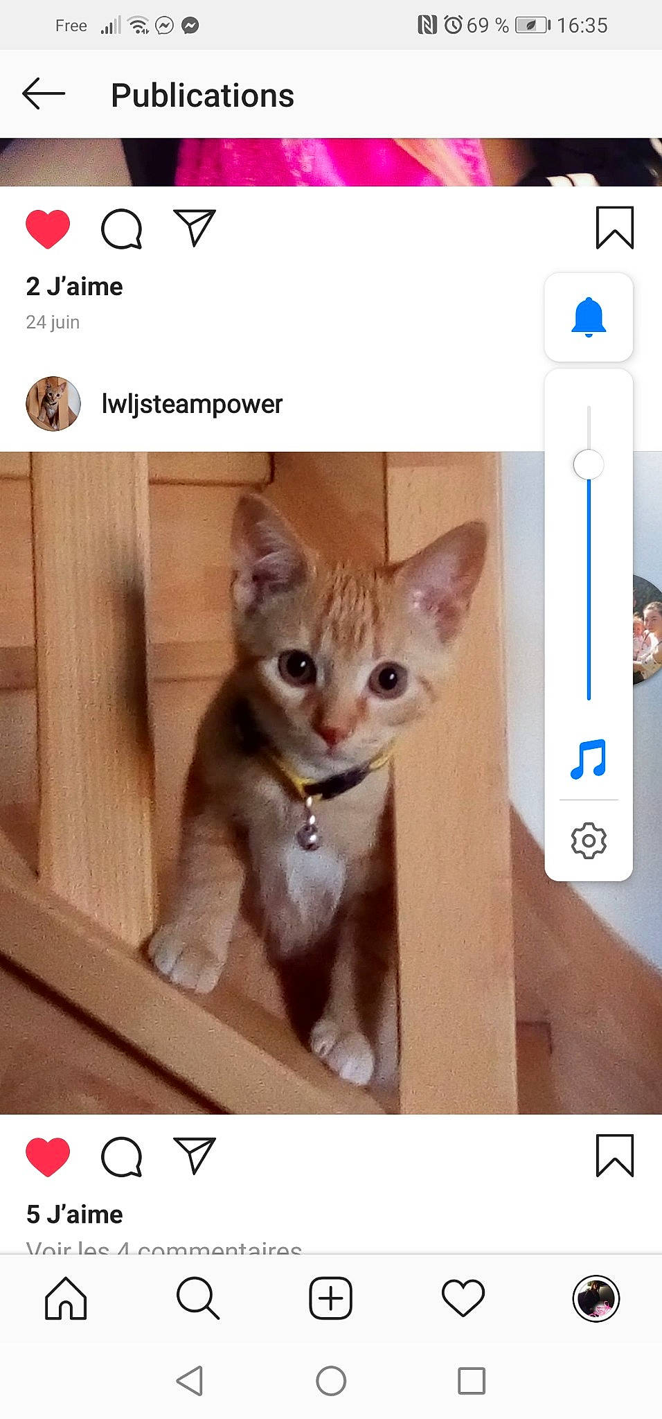 Poli a rejoint le concours — aidez-le/la à gagner de superbes lots ! abyssinian, asian, carnivore, cat, domestic_short_haired_cat, door, european_shorthair, fawn, felidae, kitten, photo_caption, photography, screenshot, small_to_medium_sized_cats, whiskers