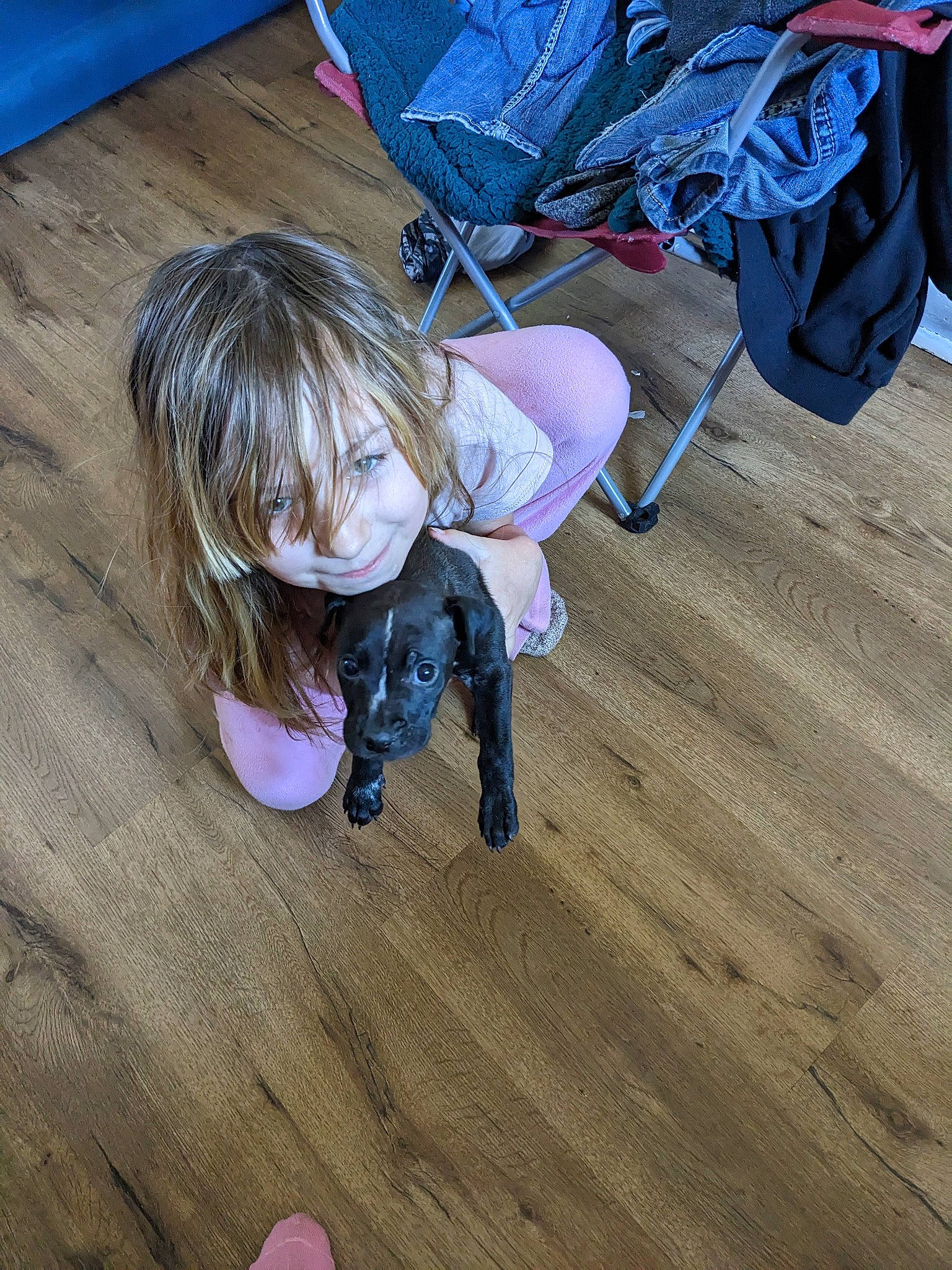 Dorkie Darko joined the competition — help win amazing prizes! carmine, child, electric_blue, floor, flooring, fun, hardwood, laminate_flooring, leisure, play, recreation, sand, sitting, soil, toddler, vacation, varnish, wood, wood_flooring, wood_stain