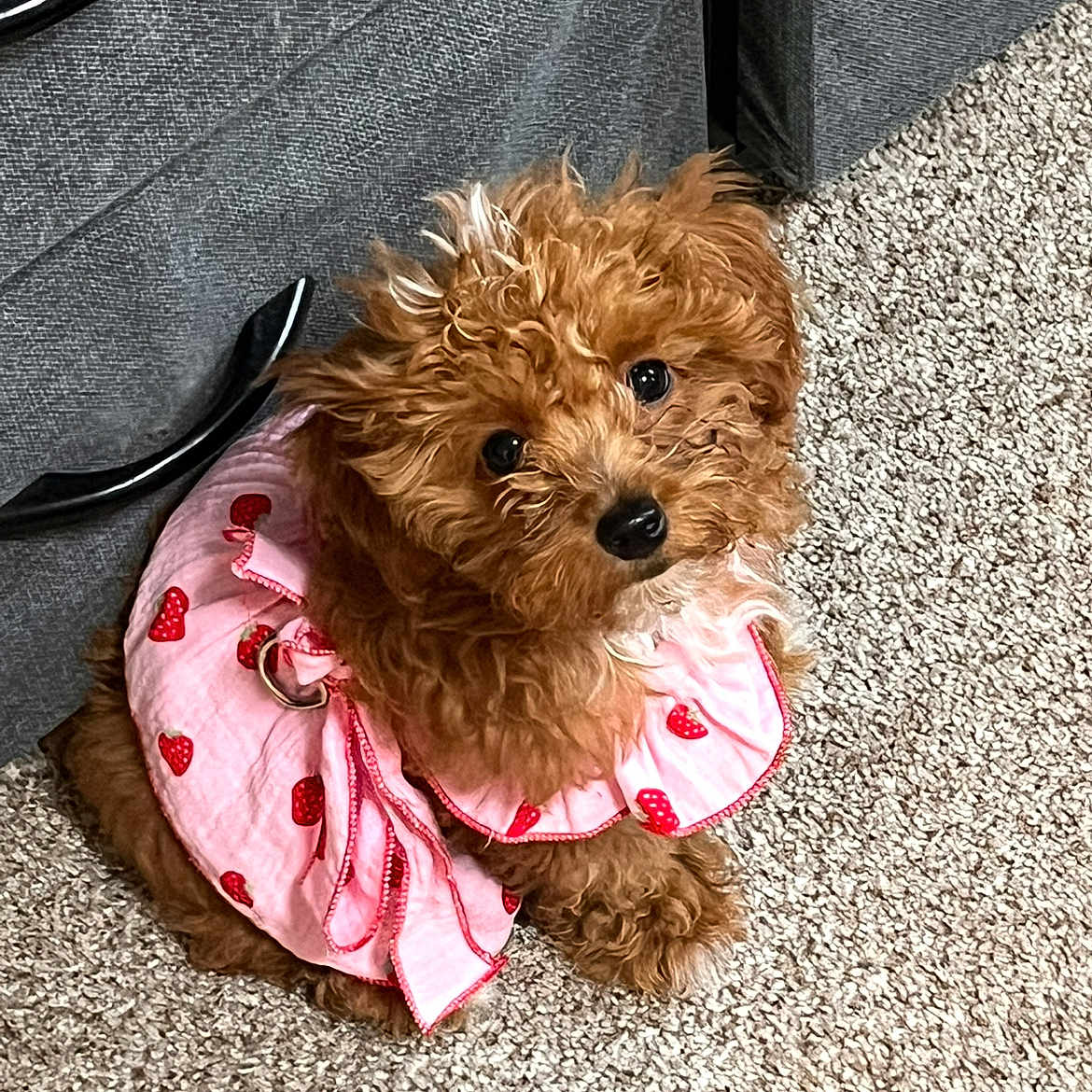 Precious