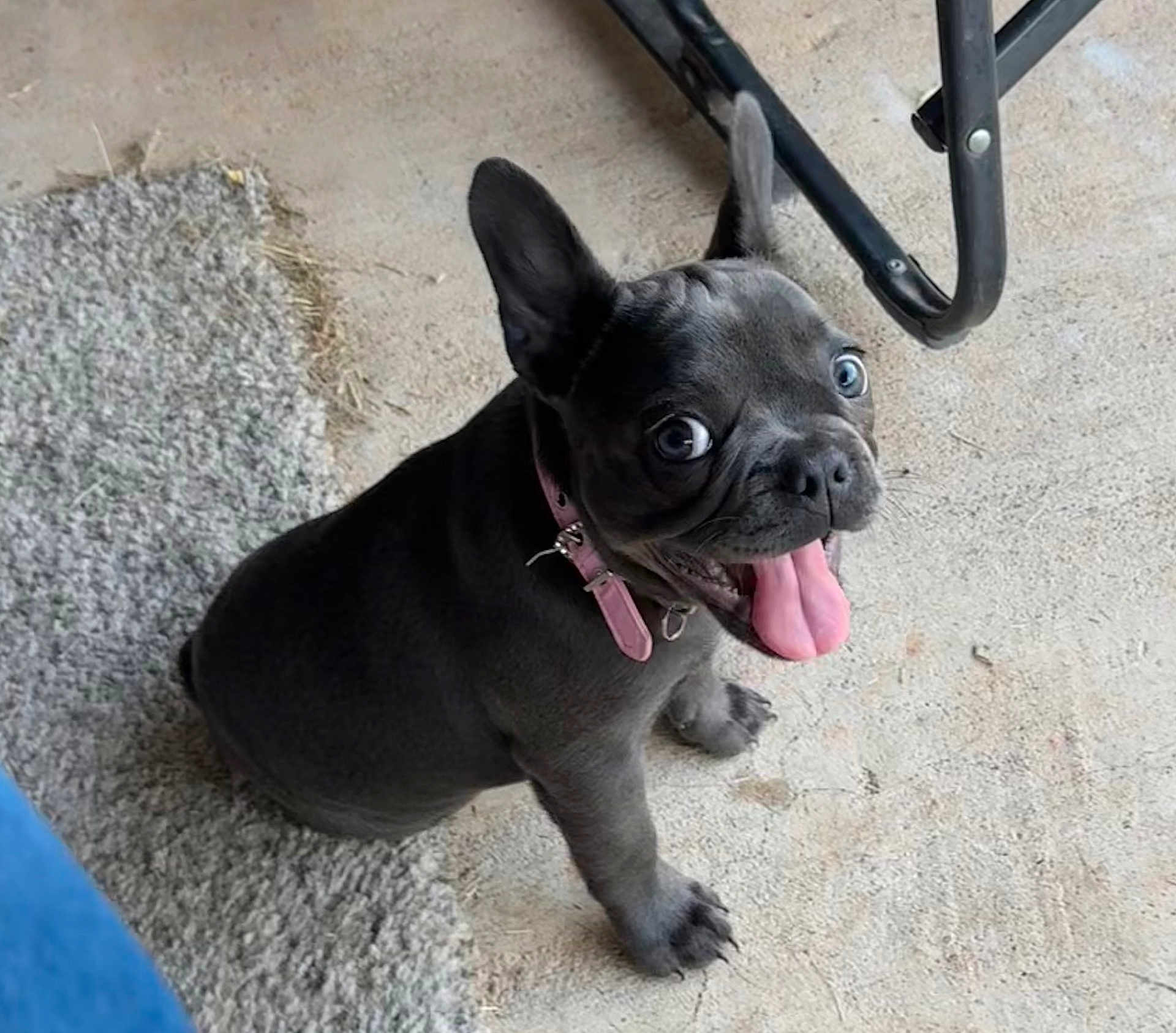 Chloe