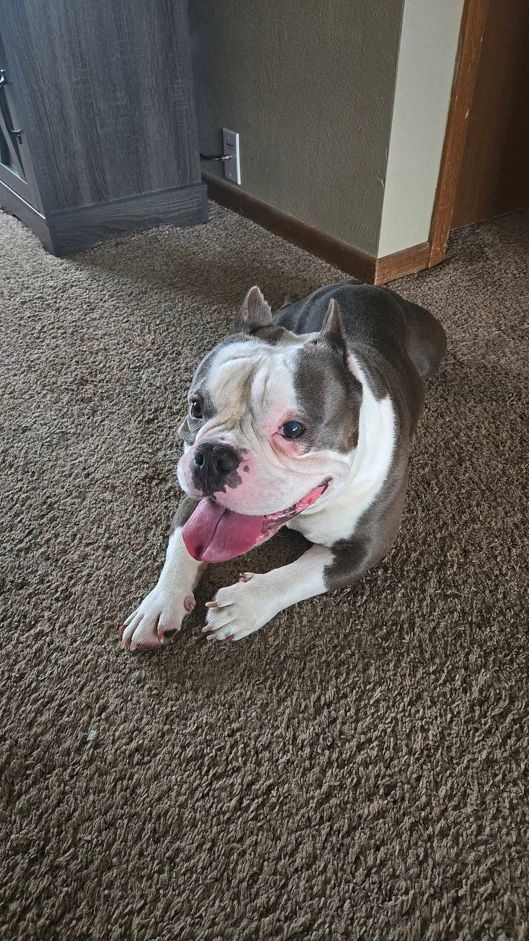 T-Rex