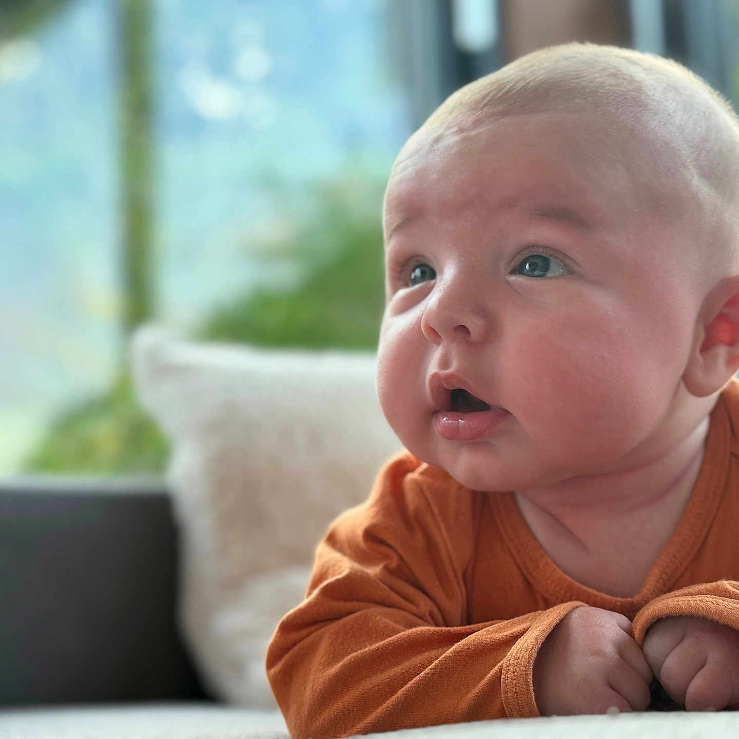 Ezio a rejoint le concours — aidez-le/la à gagner de superbes lots ! baby, child, cozy, curious, cushion, cute, expression, eyes, face, hands, head, indoor, infant, light, mouth, orange_clothing, portrait, skin, sofa, soft_focus