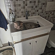 Baby Ozzy a rejoint le concours — aidez-le/la à gagner de superbes lots ! bathroom, cabinet, cat, ceramic, chrome_faucet, closeup, face, faucet, floor, gray_tabby, indoor, litter_box, pet, resting, rug, sink, soap_dispenser, tiled_wall, toilet, towel