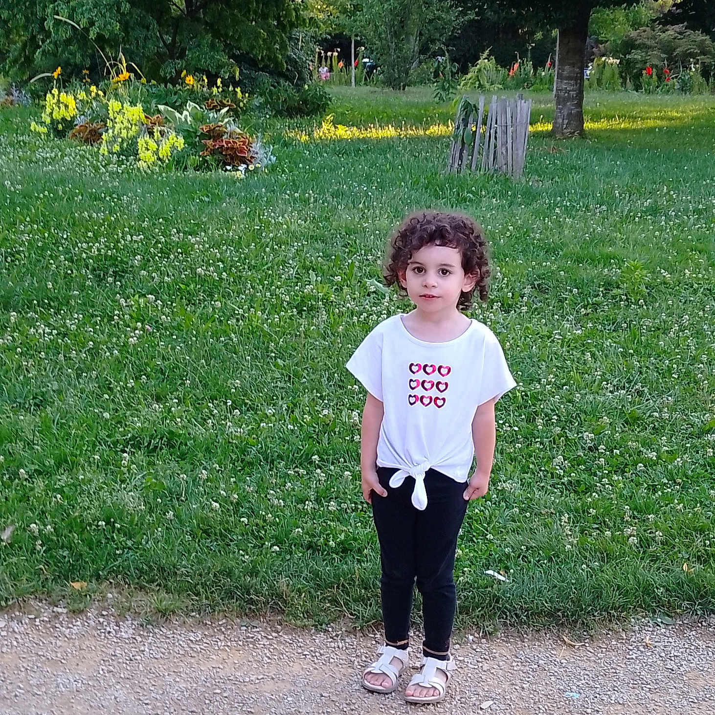 Ophélie participe au concours pour gagner de l'argent avec cette photo : child, clothing, face, female, girl, grass, head, lawn, nature, outdoors, pants, park, person, photography, plant, portrait, shorts, standing, t_shirt, yard