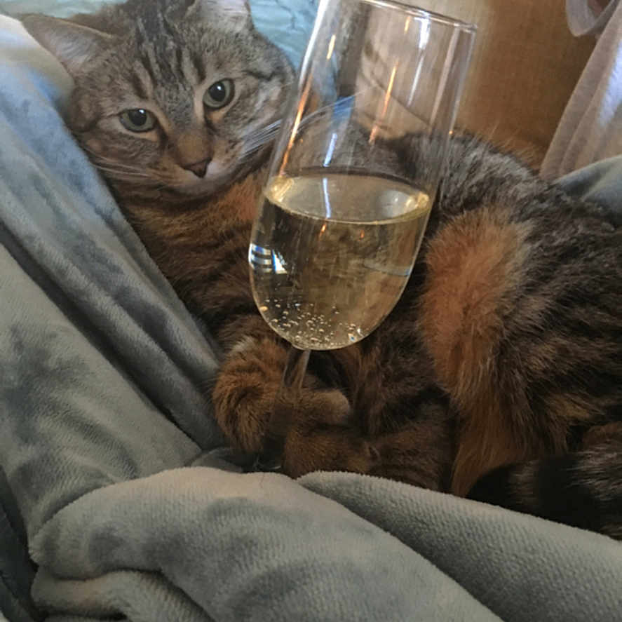 Lily