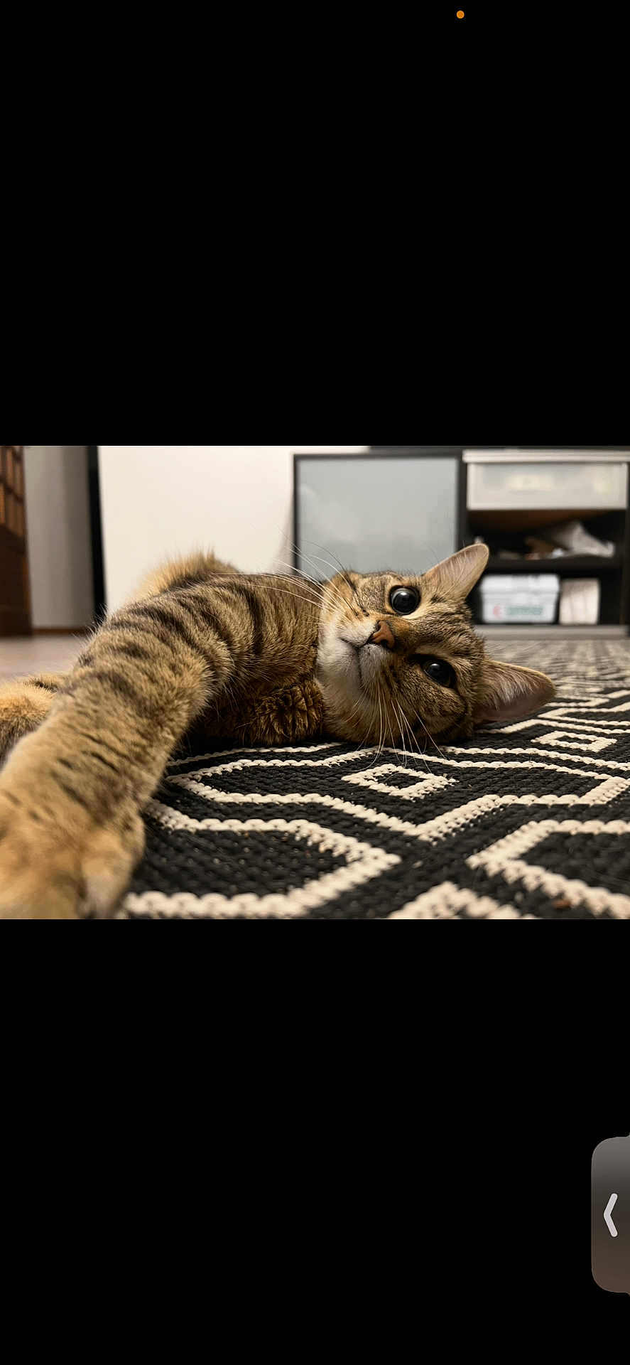 Kira