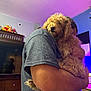 dog, person, hugging, indoor, curly_hair, furniture, dresser, purple_ceiling, arm, pet, comfort, casual_clothing, cozy, calm, curly_fur, living_room, human, close_up, relaxed, warm_lighting