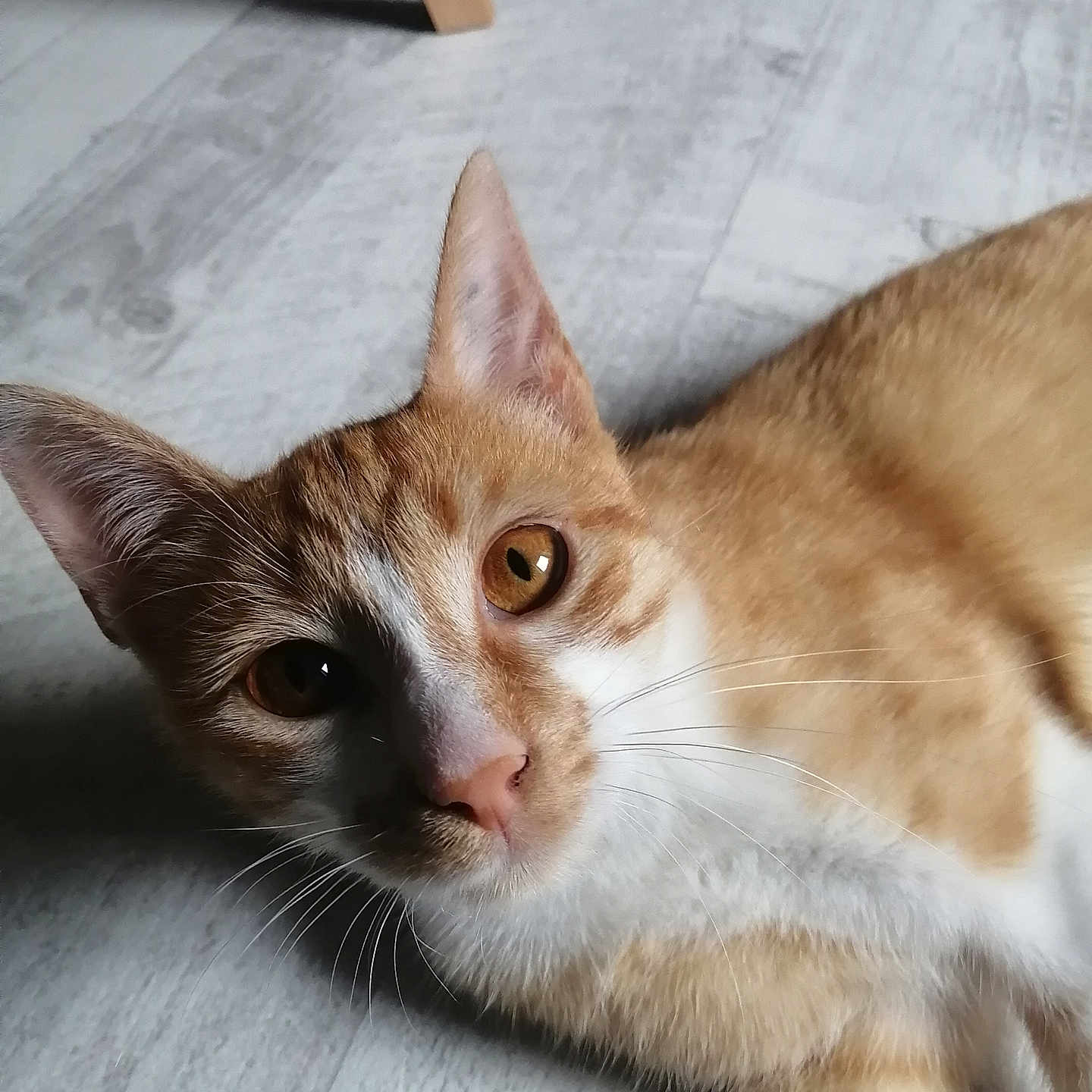 Caramel