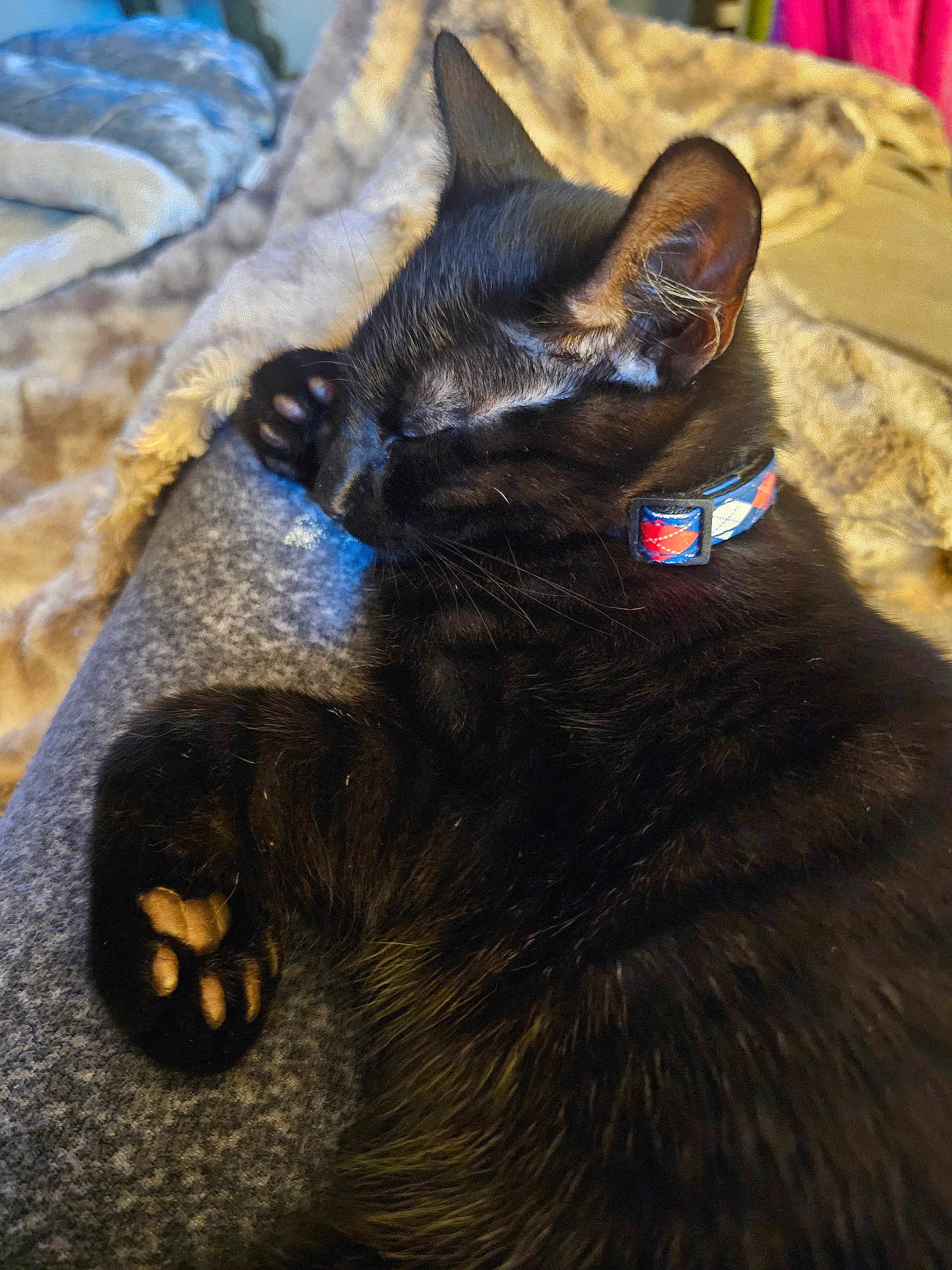 Binxy