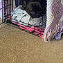dog, crate, blanket, bed, carpet, cozy, indoor, pet, resting, black_dog, knitted_cover, wire_cage, comfort, animal, cute, home, relaxed, fur, sleepy, small_space
