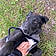 Blackie