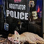 animal, badge, blanket, calm, cat, cute, display, domestic, equipment, fur, indoor, keys, kitten, lanyard, lying_down, pet, police, resting, soft, vest