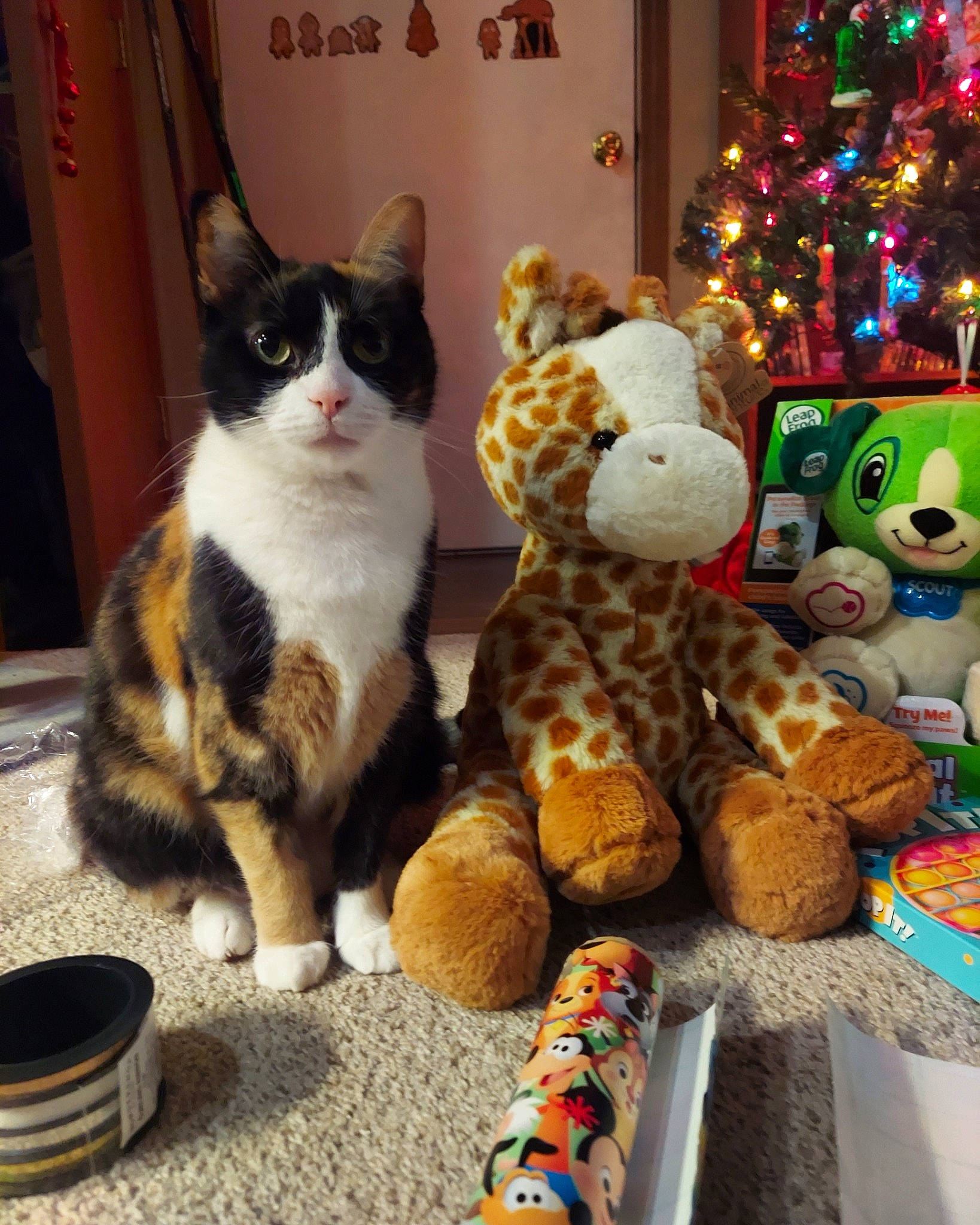 Beanie joined the competition — help win amazing prizes! cat, christmas_decoration, christmas_tree, domestic_short_haired_cat, event, fawn, felidae, fur, holiday, holiday_ornament, mammal, ornament, paw, plush, small_to_medium_sized_cats, stuffed_toy, tail, toy, vertebrate, whiskers