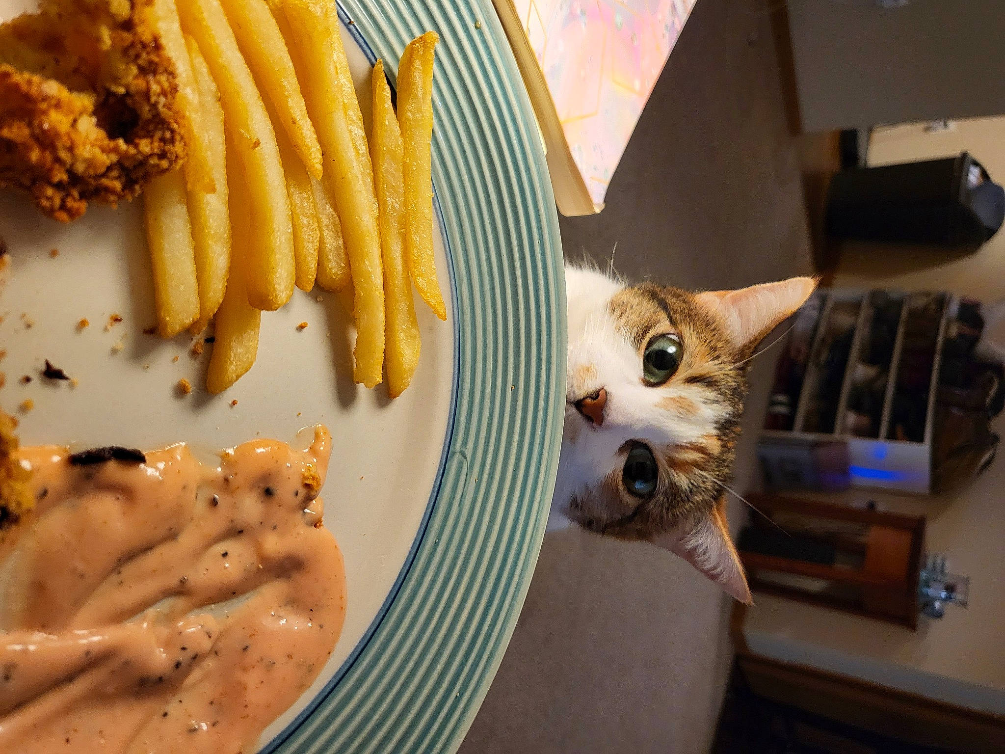 Sharon joined the competition — help win amazing prizes! carnivore, cat, corn_kernels, cuisine, deep_frying, dish, fast_food, felidae, food, french_fries, ingredient, recipe, shipping_box, small_to_medium_sized_cats, staple_food, sweet_corn, tableware, vegetable, vertebrate, whiskers