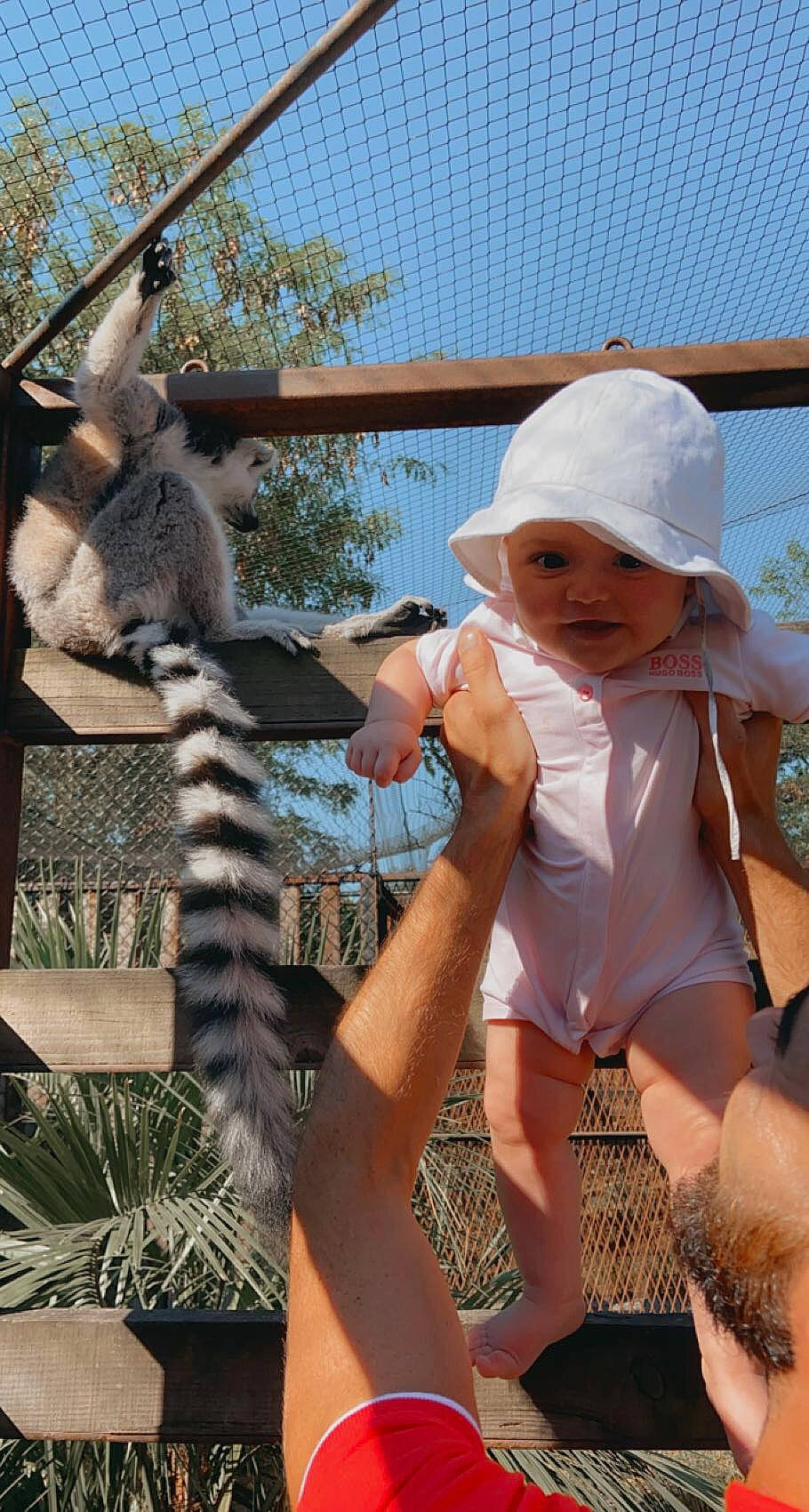 Swaïly a rejoint le concours — aidez-le/la à gagner de superbes lots ! baseball_cap, cap, fawn, fence, grass, happy, hat, headwear, human_body, leaf, leisure, lemur, person, primate, recreation, shorts, sky, sun_hat, swimwear, terrestrial_animal