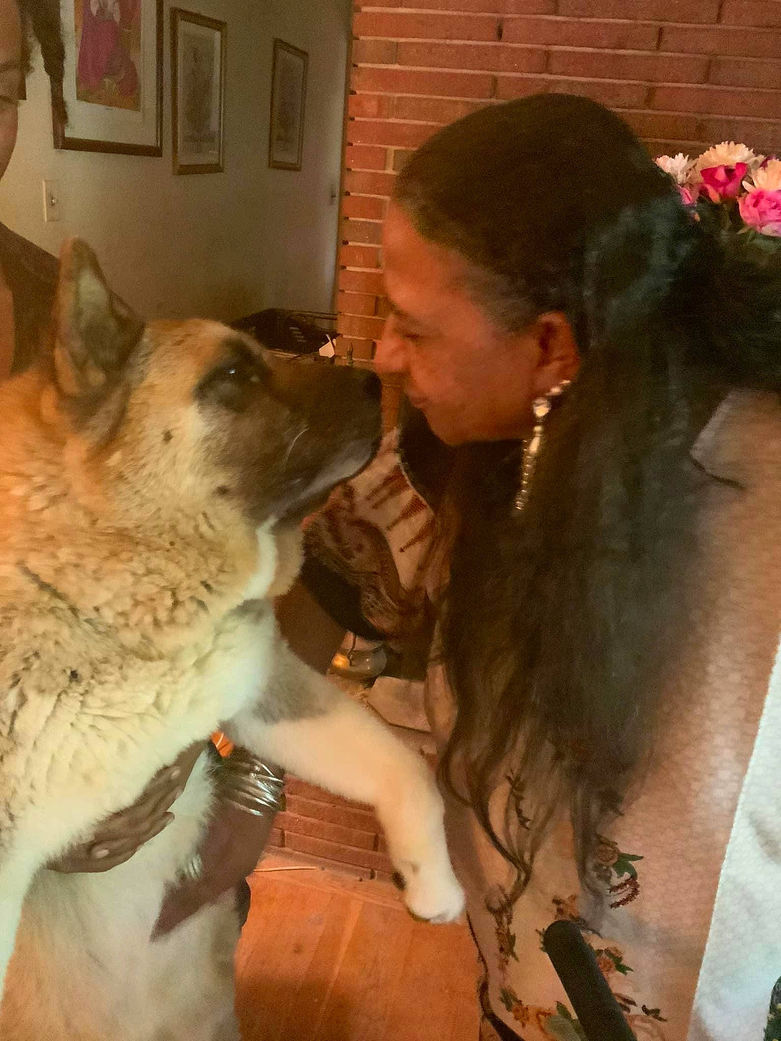 Suki is registered to the contest to win money with this photo: canidae, canis, carnivore, companion_dog, dog, dog_breed, event, fashion_accessory, fawn, felidae, formal_wear, fun, fur, happy, jewellery, smile, snout, sporting_group, whiskers, wildlife