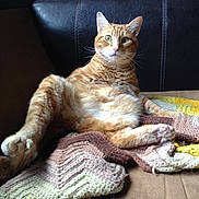 Claude joined the competition — help win amazing prizes!