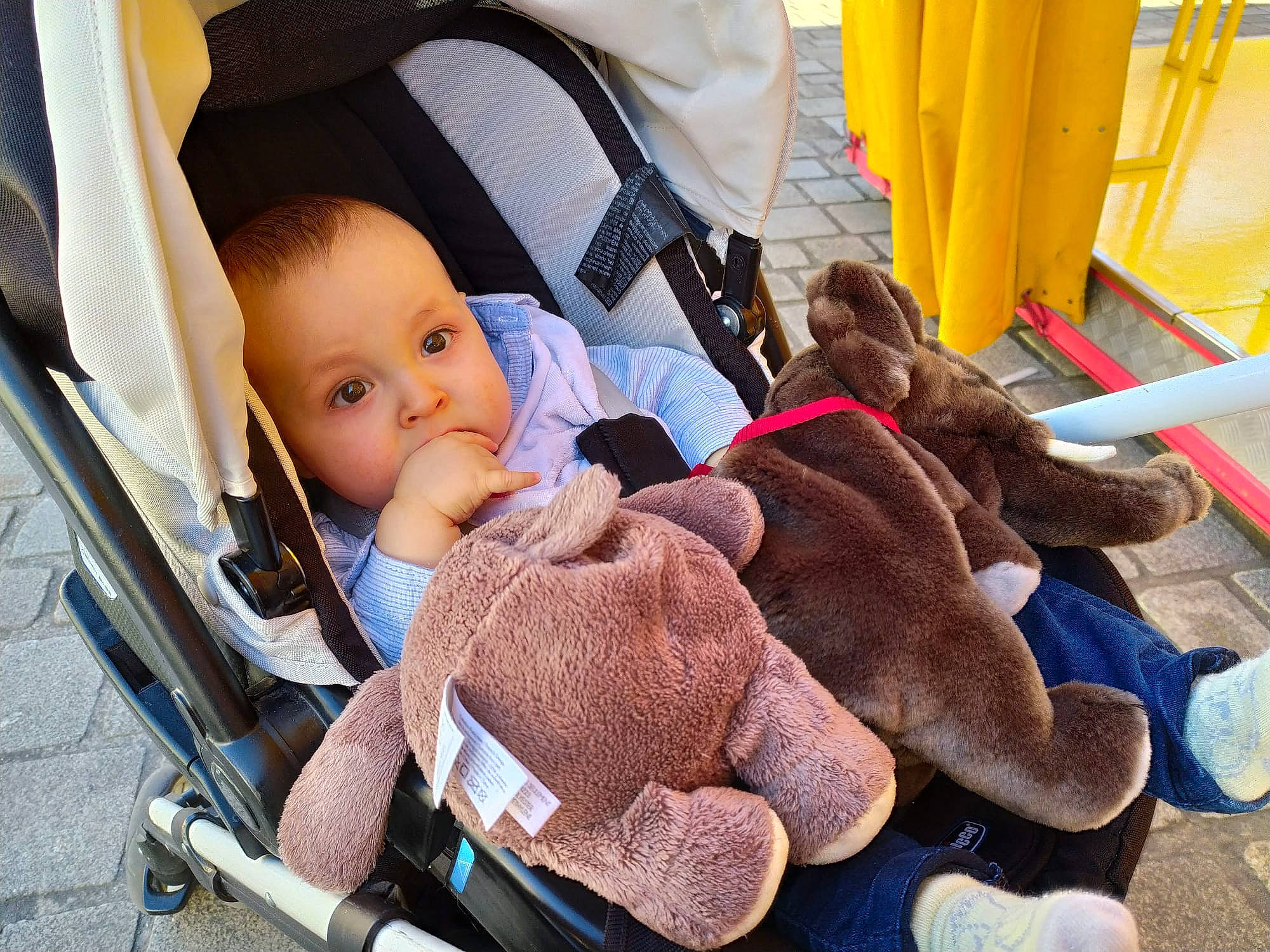 Noham a rejoint le concours — aidez-le/la à gagner de superbes lots ! baby, baby_carriage, baby_products, baby_safety, baby_toddler_clothing, car_seat, child, comfort, curtain, fun, fur, lap, leisure, person, plush, sitting, stuffed_toy, toddler, toy