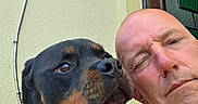 Odin a rejoint le concours — aidez-le/la à gagner de superbes lots ! black_and_tan, building, closeup, companion, dog, doorway, eyes, facial_expression, fur, man, nose, outdoor, pet, photography, portrait, red_shirt, rottweiler, selfie, squinting, wall