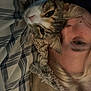 Boo is registered to the contest to win money with this photo: cat, person, bed, blanket, striped_bedspread, collar, whiskers, fur, face, closeup, indoor, resting, lying_down, cozy, pet, human, comfort, animal, portrait, sleepwear