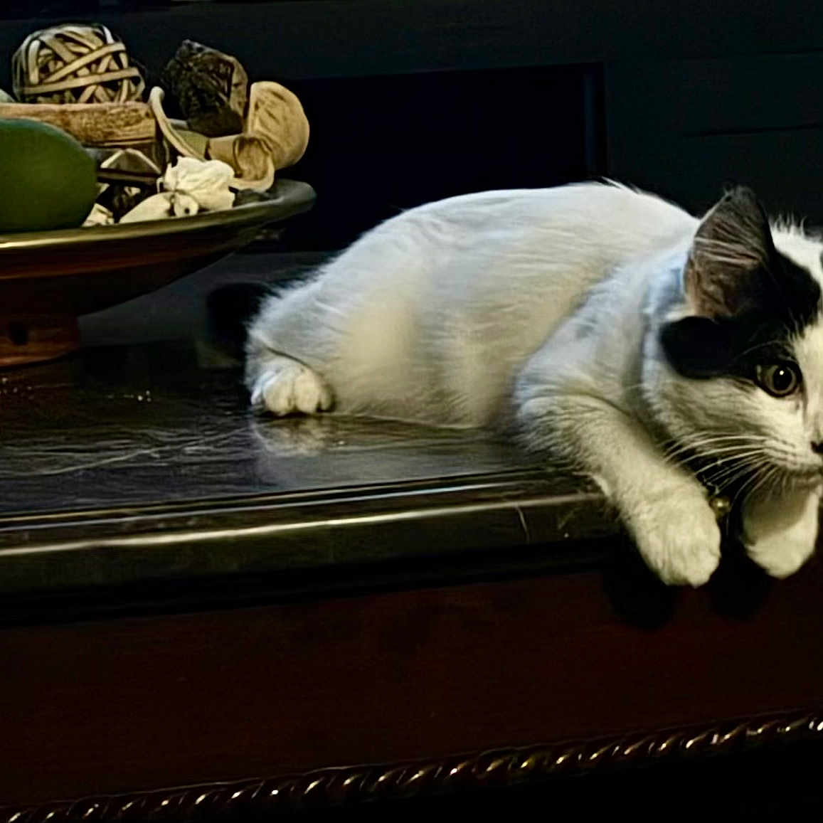 Coco