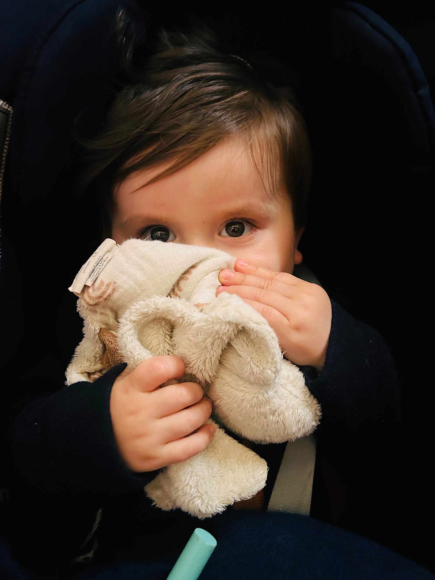 Gabriel a rejoint le concours — aidez-le/la à gagner de superbes lots ! child, baby, toddler, blanket, stuffed_toy, lovey, hands, eyes, face, hair, car_seat, seatbelt, portrait, close_up, cozy, soft_texture, cute, infant, grasping, plush