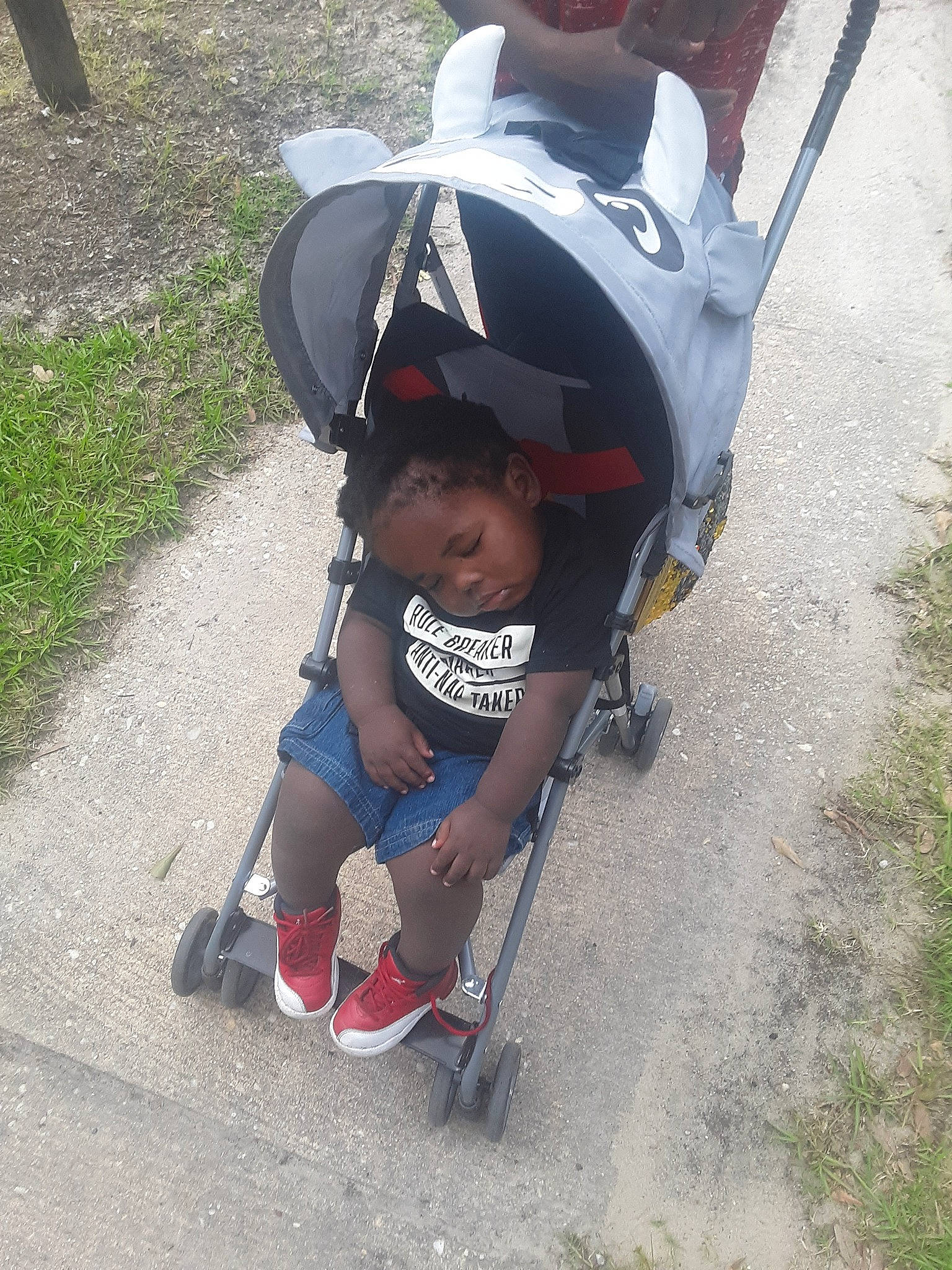 Dwayne is registered to the contest to win money with this photo: baby, baby_carriage, baby_products, child, person, plant, play, product, smile, toddler