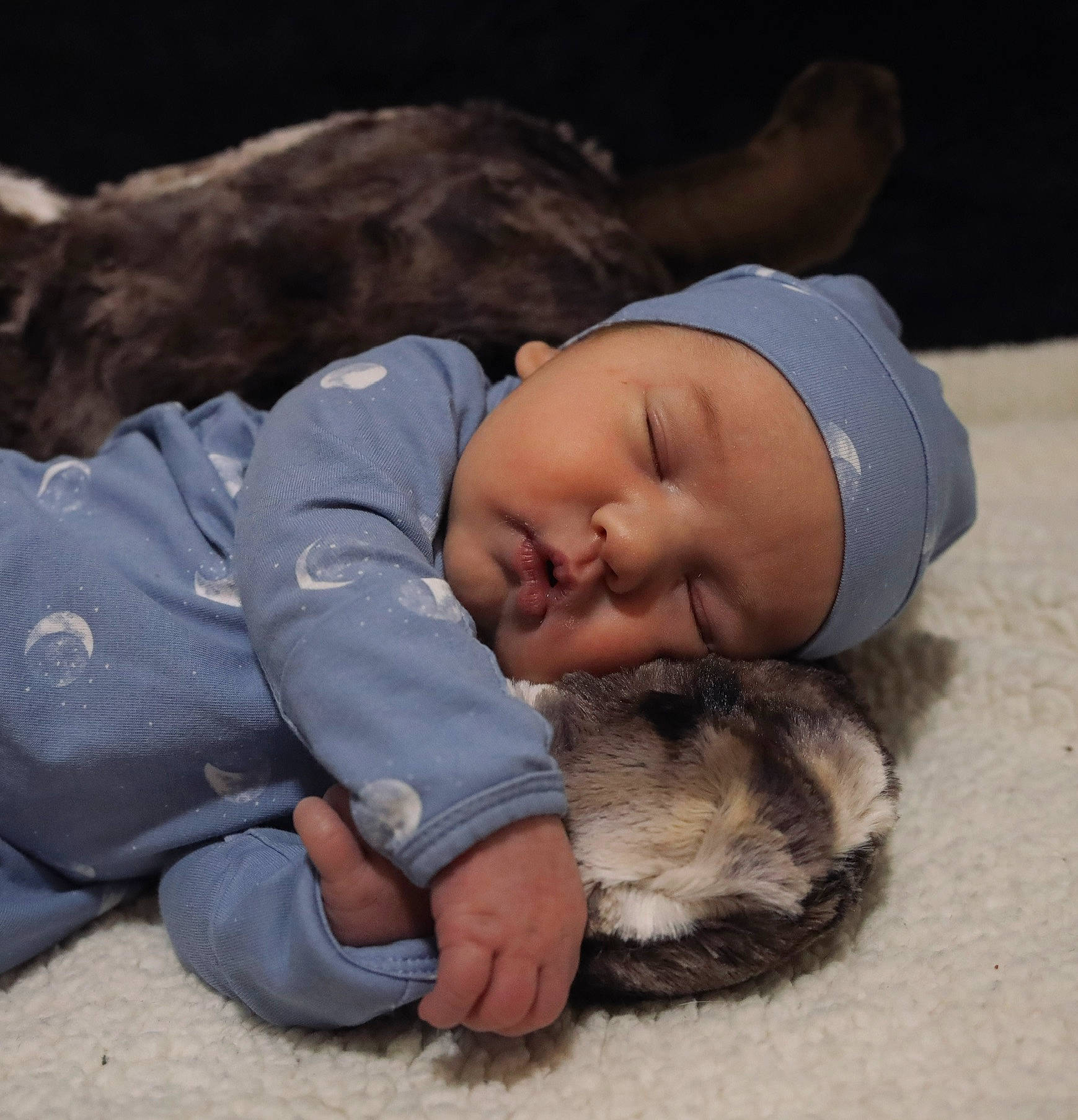 Kaycen is registered to the contest to win money with this photo: baby, beanie, bedtime, cap, child, comfort, felidae, flooring, fur, grass, headwear, hug, linens, nap, paw, person, rock, sitting, sleep, toddler