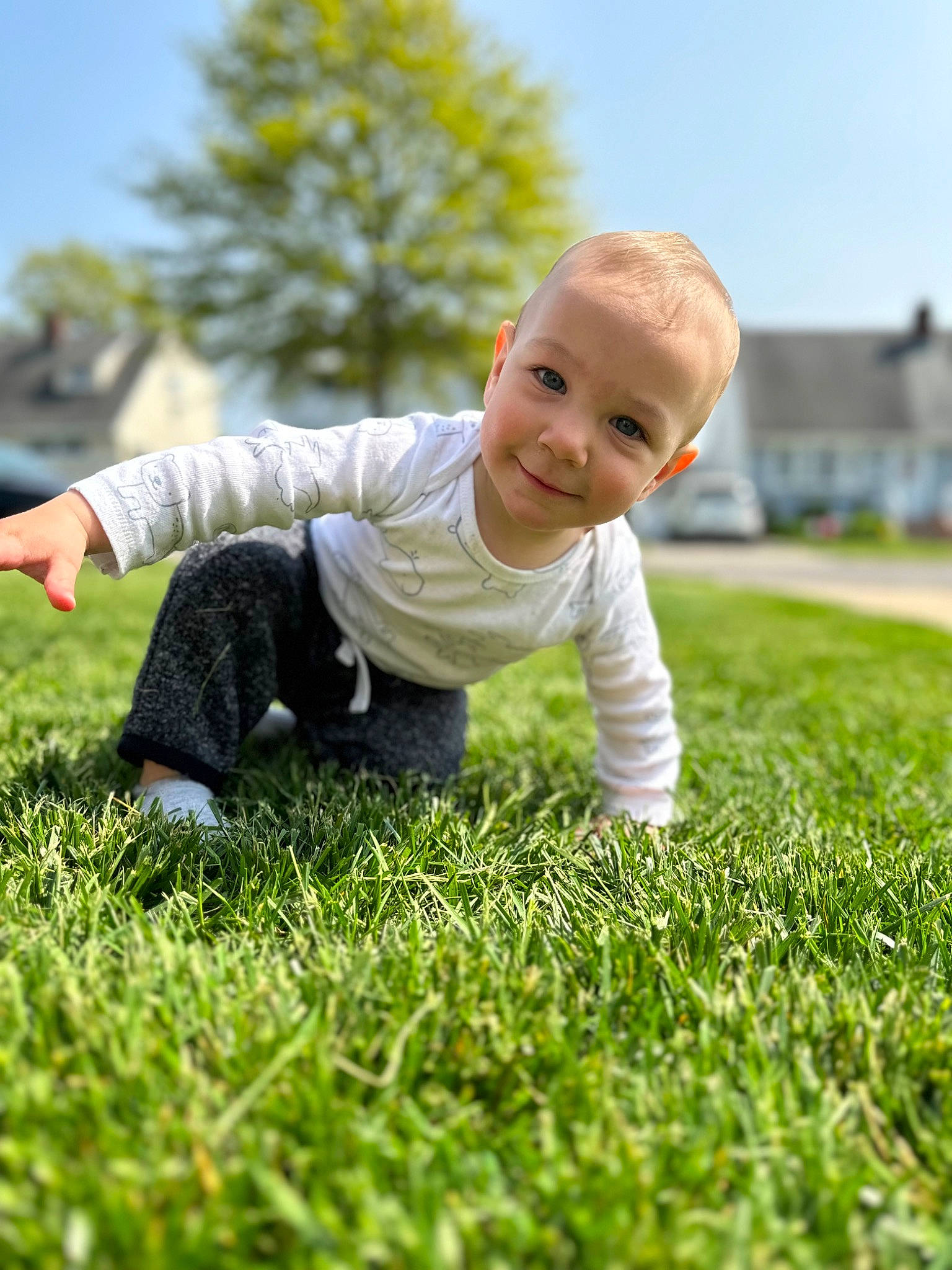 Jackson joined the competition — help win amazing prizes! baby_toddler_clothing, facial_expression, flash_photography, flooring, fun, grass, grassland, groundcover, happy, joy, mammal, morning, people, people_in_nature, person, plant, sky, smile, summer, sunlight