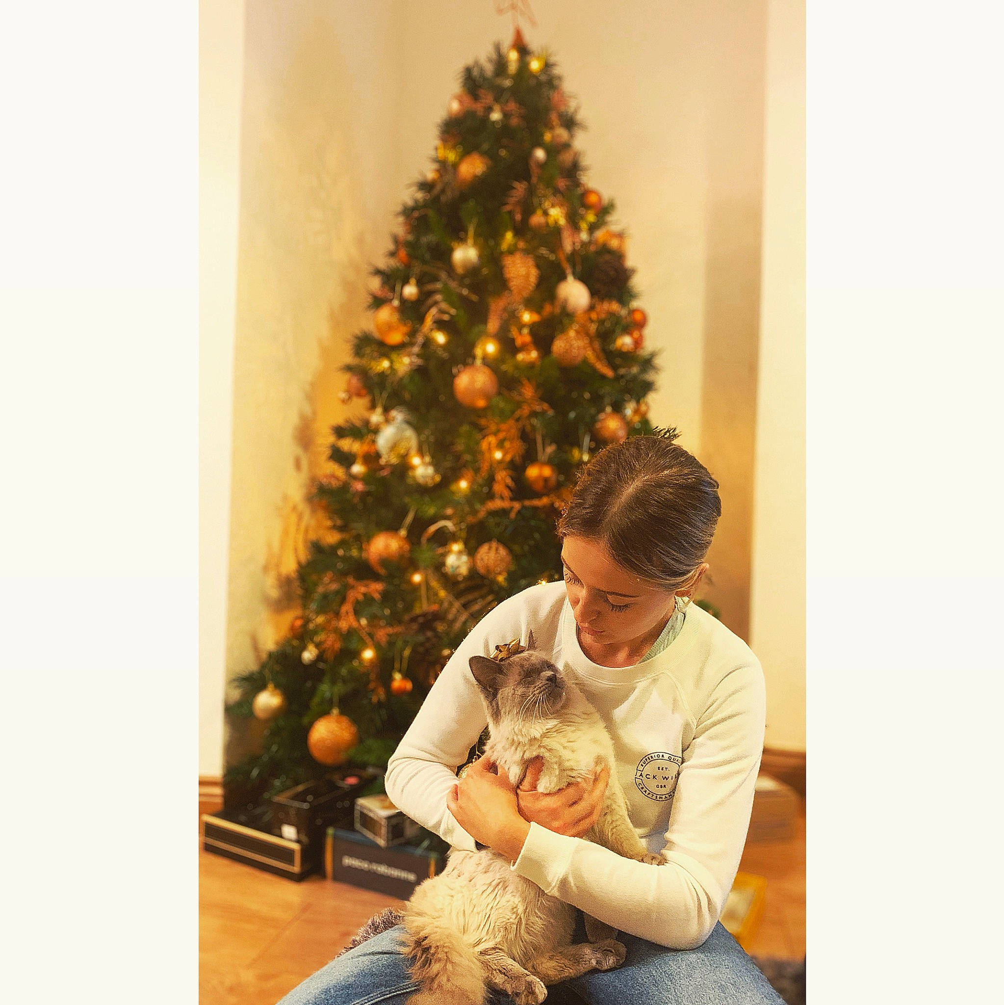 Egg joined the competition — help win amazing prizes! christmas, christmas_decoration, christmas_eve, christmas_lights, christmas_ornament, christmas_tree, conifer, fir, holiday, holiday_ornament, interior_design, pine, pine_family, plant, sitting, sporting_group, tree