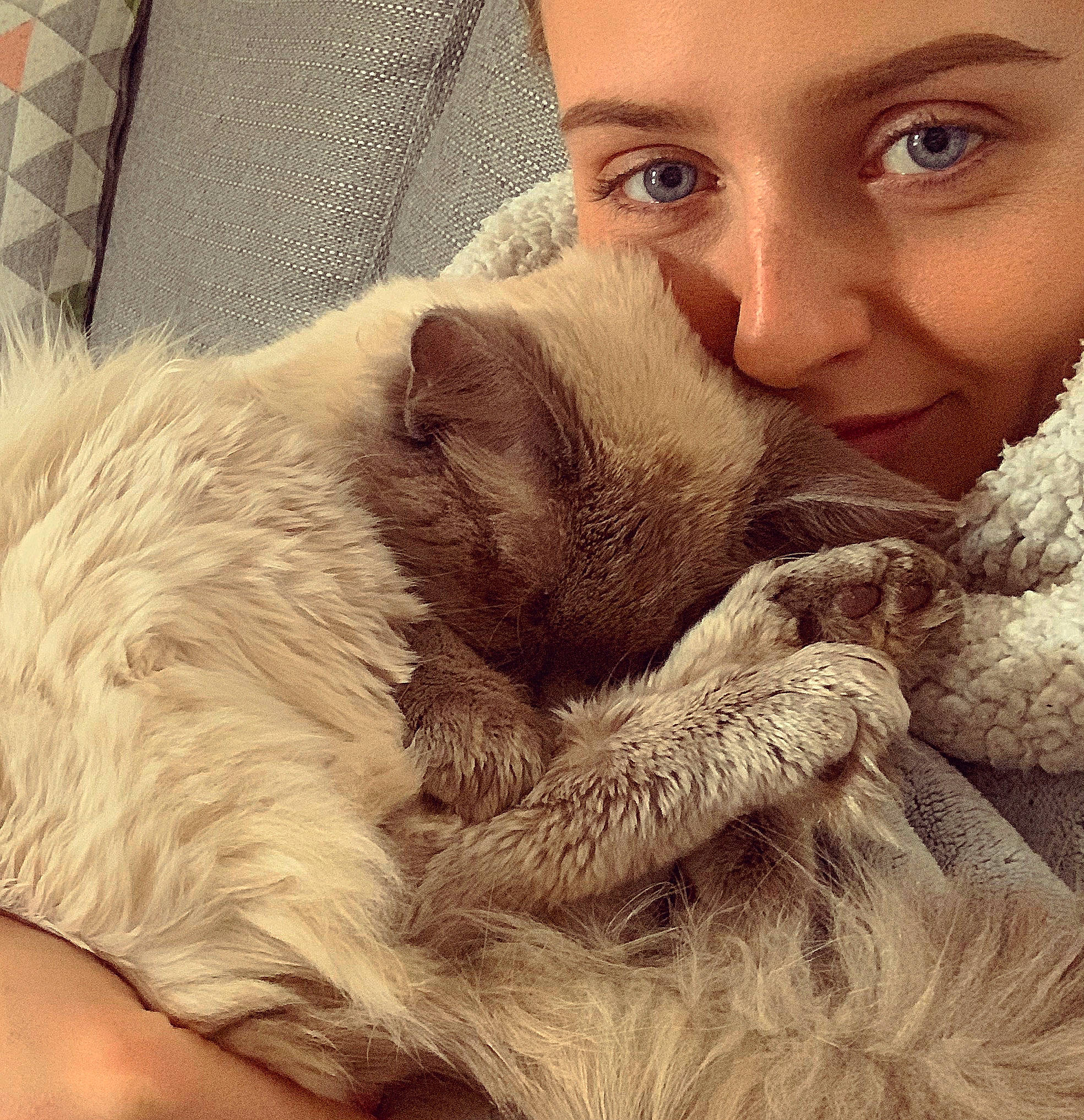 Egg joined the competition — help win amazing prizes! beard, carnivore, cat, ear, eye, facial_hair, felidae, fur, hair, hand, hug, human, nose, photography, puppy, puppy_love, selfie, skin, small_to_medium_sized_cats, whiskers