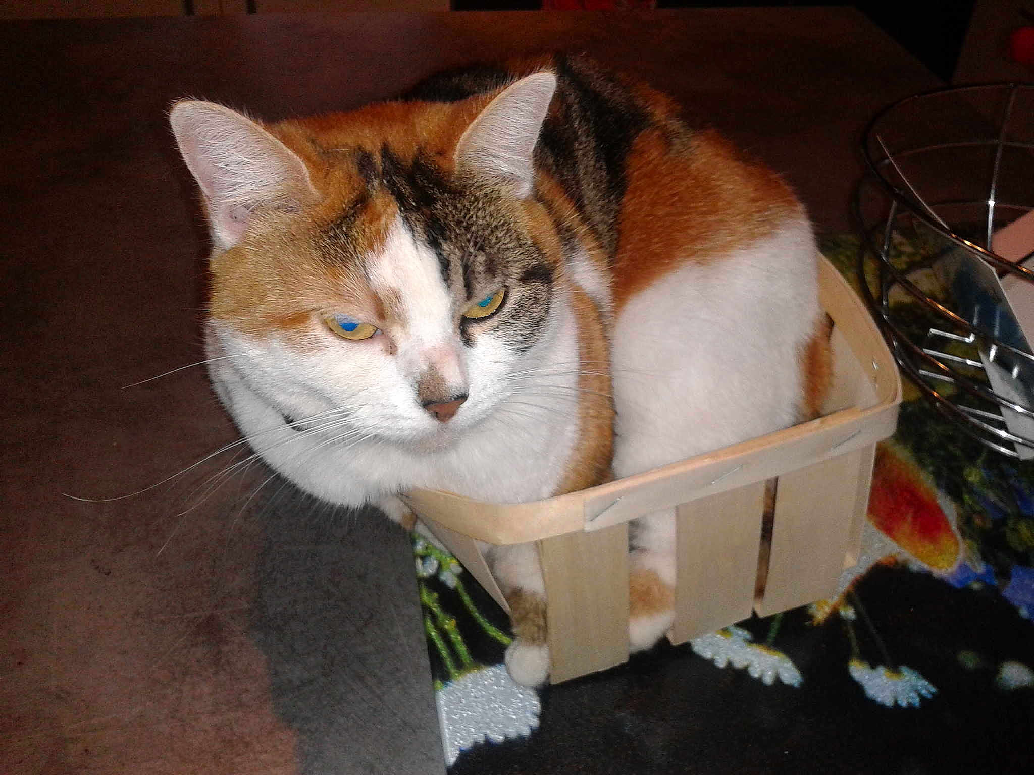 Mirabelle