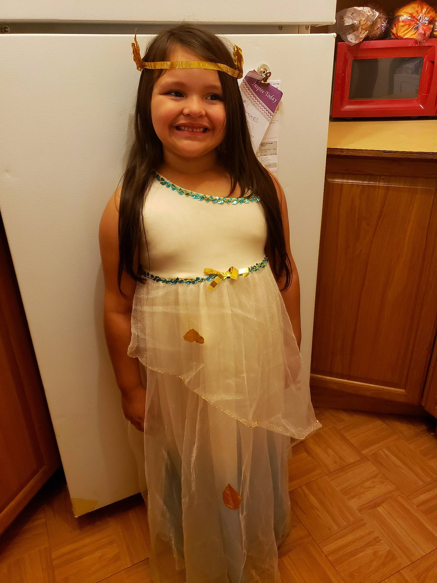 Emma Jean joined the competition — help win amazing prizes! brown_hair, child, clothing, costume, dress, fawn, hair_accessory, joy, long_hair, person, smile, toddler