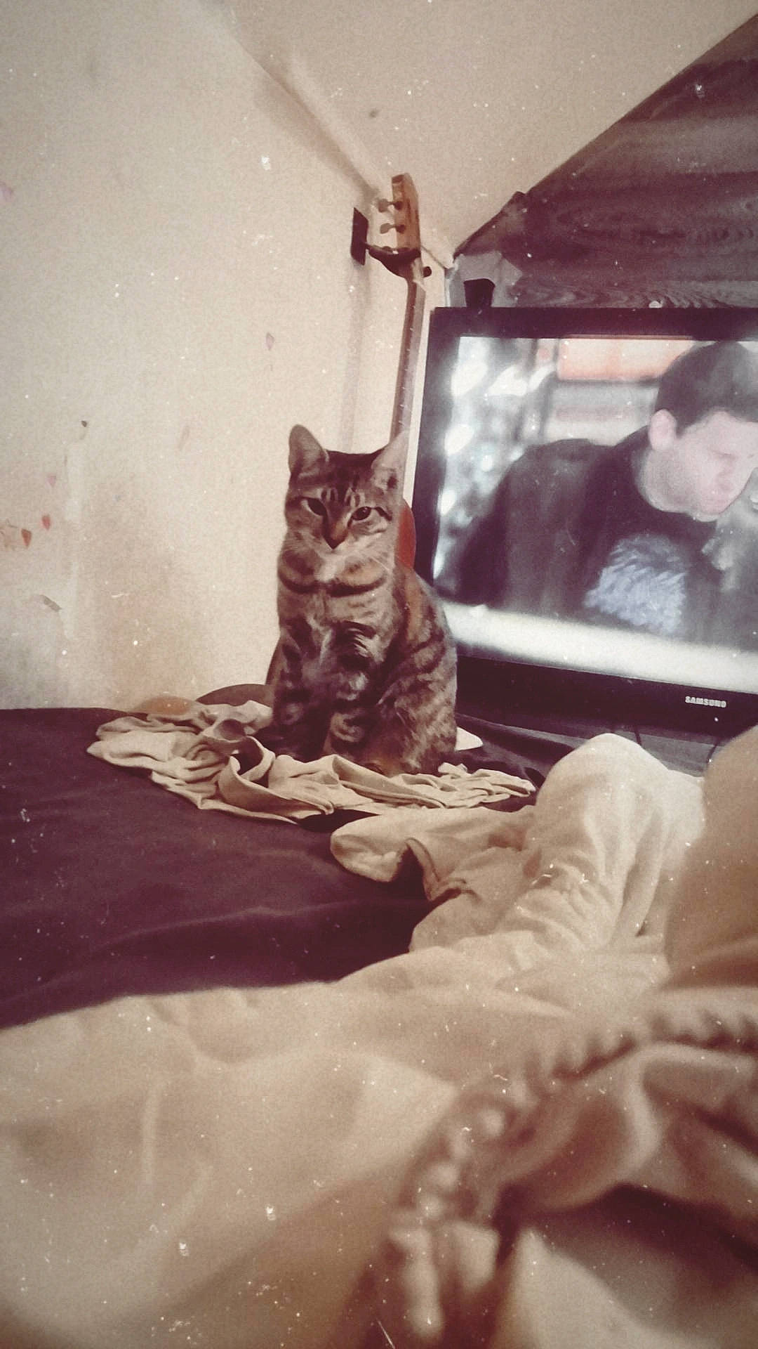 Canelle a rejoint le concours — aidez-le/la à gagner de superbes lots ! carnivore, cat, comfort, domestic_short_haired_cat, felidae, flooring, fur, human_leg, linens, monochrome, monochrome_photography, paw, room, sitting, small_to_medium_sized_cats, tail, tints_and_shades, whiskers