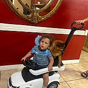 Christopher is registered to the contest to win money with this photo: toddler, toy_car, dog, indoor, red_wall, mirror, mirror_frame, hand, footwear, tile_floor, child, pet, seat, person, furniture, foot, clothing, socks, play, vehicle