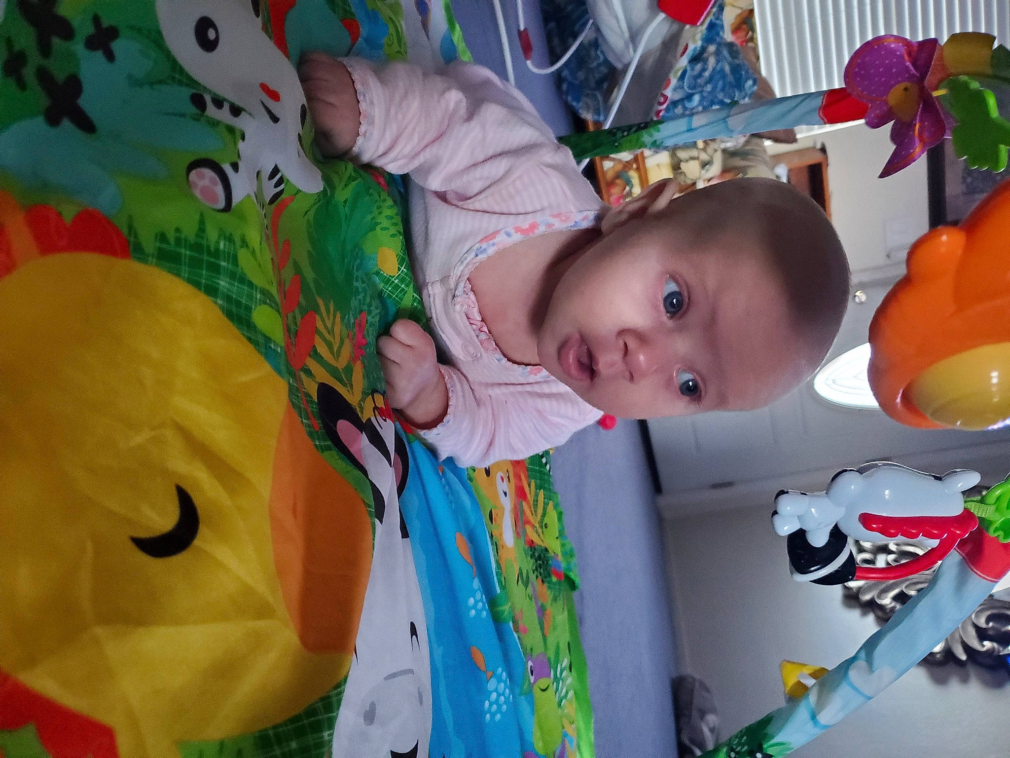 Rhylee is registered to the contest to win money with this photo: baby, cheek, child, eye, facial_expression, fun, green, happy, headgear, leaf, nose, orange, organ, organism, person, plant, product, textile, toddler, toy