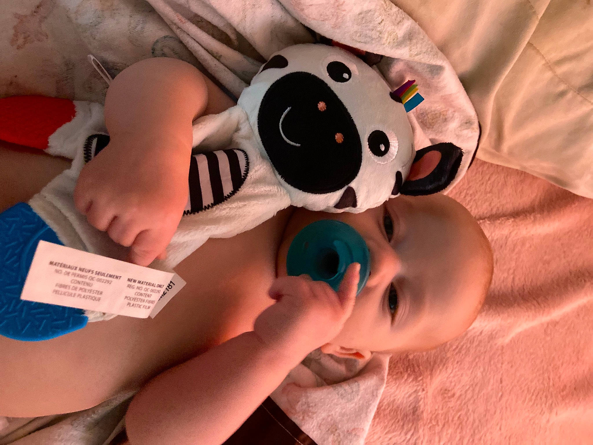 Kace joined the competition — help win amazing prizes! abdomen, baby_products, black_hair, chest, comfort, finger, happy, hat, head, nail, neck, person, personal_protective_equipment, service, skin, stuffed_toy, thigh, thumb, toddler, toy