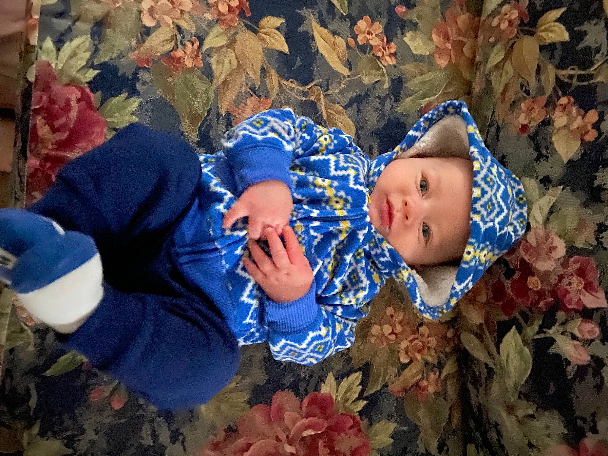 Kace is registered to the contest to win money with this photo: azure, baby, blue, botany, eye, fun, grass, happy, headgear, headwear, human_body, interaction, leaf, organism, outerwear, people_in_nature, person, plant, textile, toddler