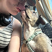 Xena a rejoint le concours — aidez-le/la à gagner de superbes lots ! dog, person, human, kiss, affection, pet, car, vehicle, harness, sunglasses, cap, window, sunlight, portrait, closeup, road_trip, seated, brown_dog, companionship, outdoor_light