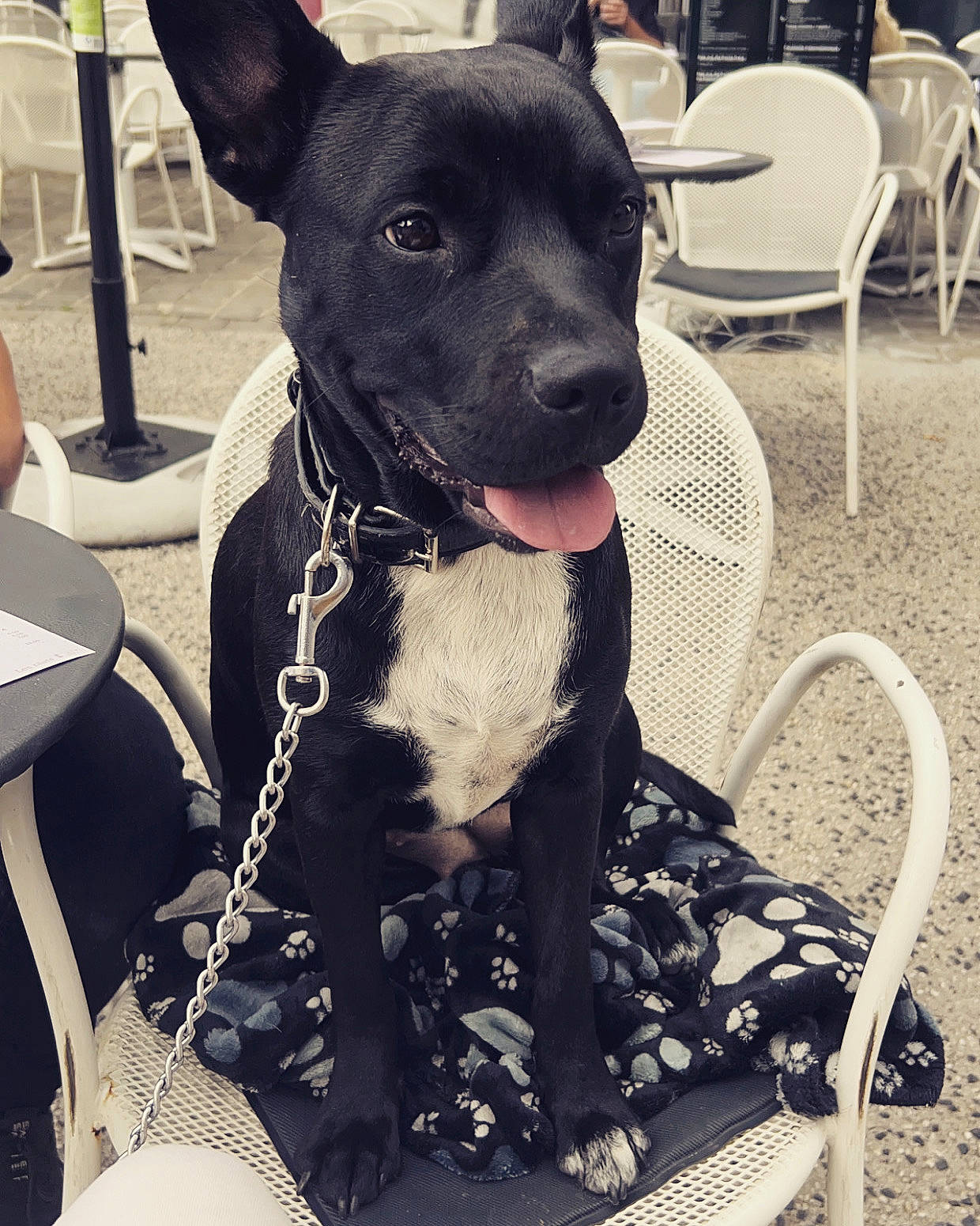 Lola