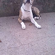 June a rejoint le concours — aidez-le/la à gagner de superbes lots !