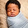 Kashton Dixon