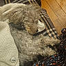 collar, colorful_skirt, comfort, companion, cozy, curly_fur, dog, fabric, fur, human, indoors, patterned_clothing, pet, plaid_blanket, relaxed, resting, sleeping, warm_colors, white_sweater, wooden_floor