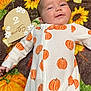 Olivia joined the competition — help win amazing prizes! baby, infant, smiling, pumpkin_pattern, sleepwear, blanket, autumn, fall, sunflower, decorative_sign, two_months, cute, cozy, lying_down, child, portrait, indoors, soft_texture, happy, small_hand