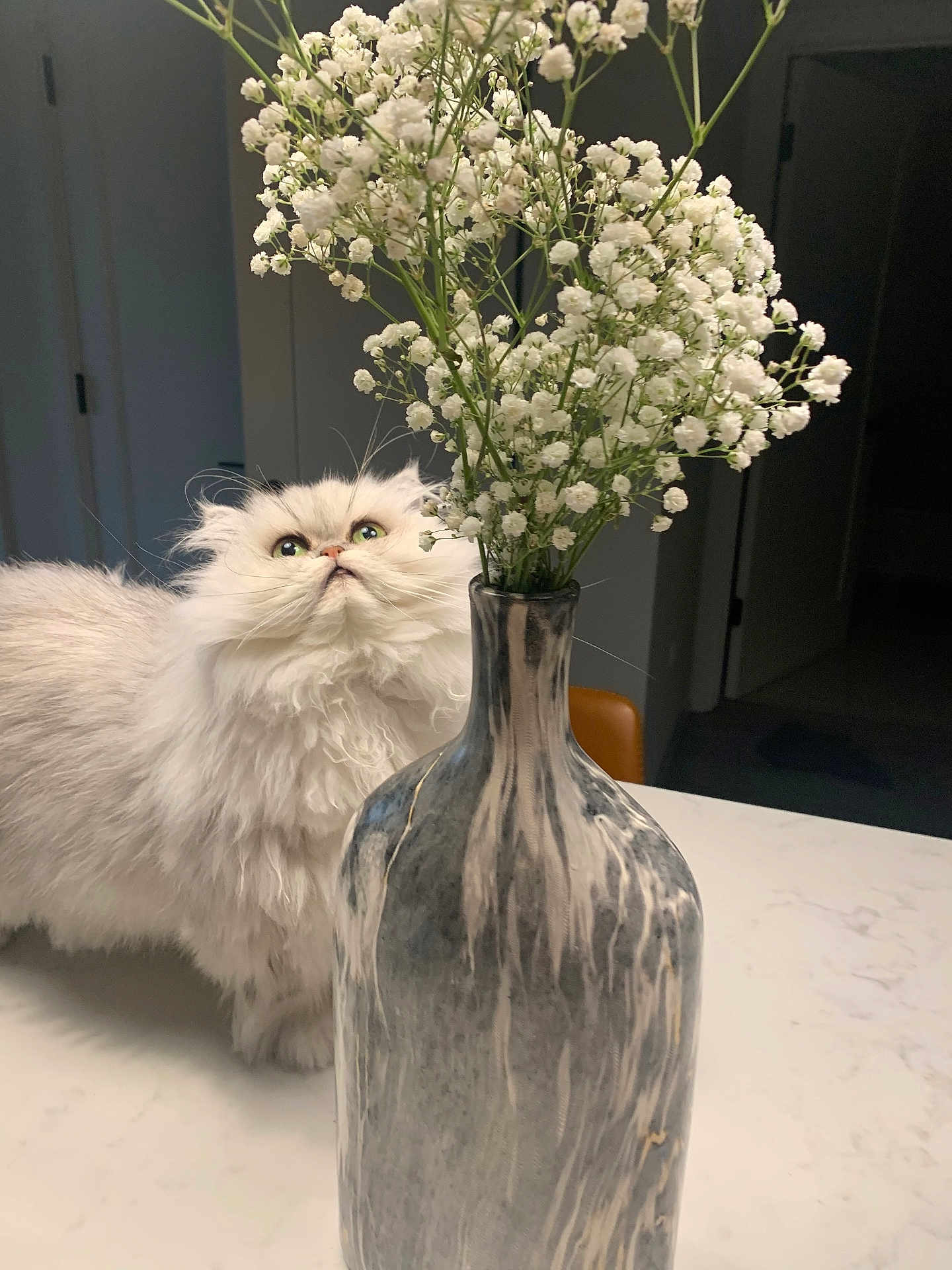 Kiki