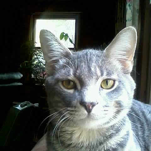 Micky is registered to the contest to win money with this photo: