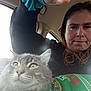 Ash is registered to the contest to win money with this photo: animal, car_interior, casual, cat, closeup, clothing, fur, gray_cat, green_sweater, hand, indoor, long_hair, looking_away, person, pet, portrait, seat, selfie, window, yellow_eyes