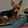 Xena