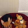 dog, puppy, bed, plush_toy, stuffed_animal, bear_toy, bird_toy, indoor, floor, cute, small_dog, canine, pet, resting, brown_dog, black_and_brown, ears, animal, cozy, looking