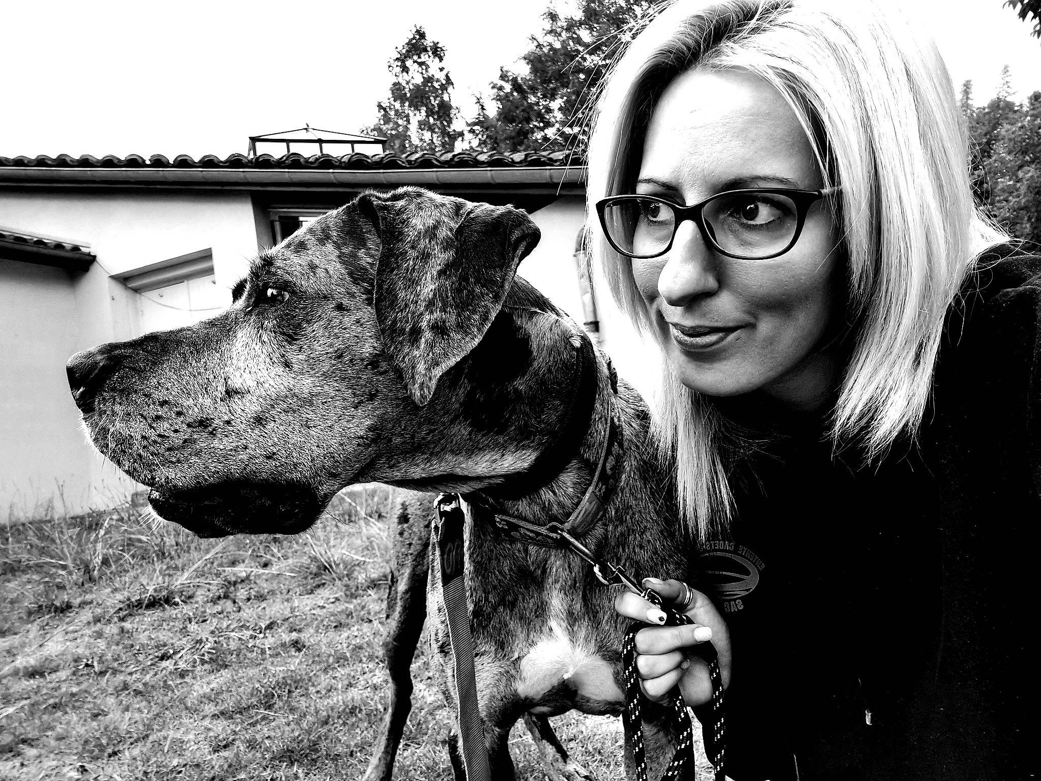Lola participe au concours pour gagner de l'argent avec cette photo : black_and_white, canidae, carnivore, dog, dog_breed, eye, eyewear, glasses, great_dane, guard_dog, head, jaw, monochrome, monochrome_photography, photography, smile, snout, sporting_group, stock_photography, style